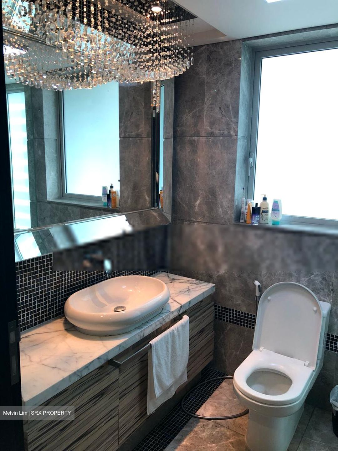 The Vision (D5), Condominium #450454581